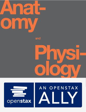 quotes anatomy card